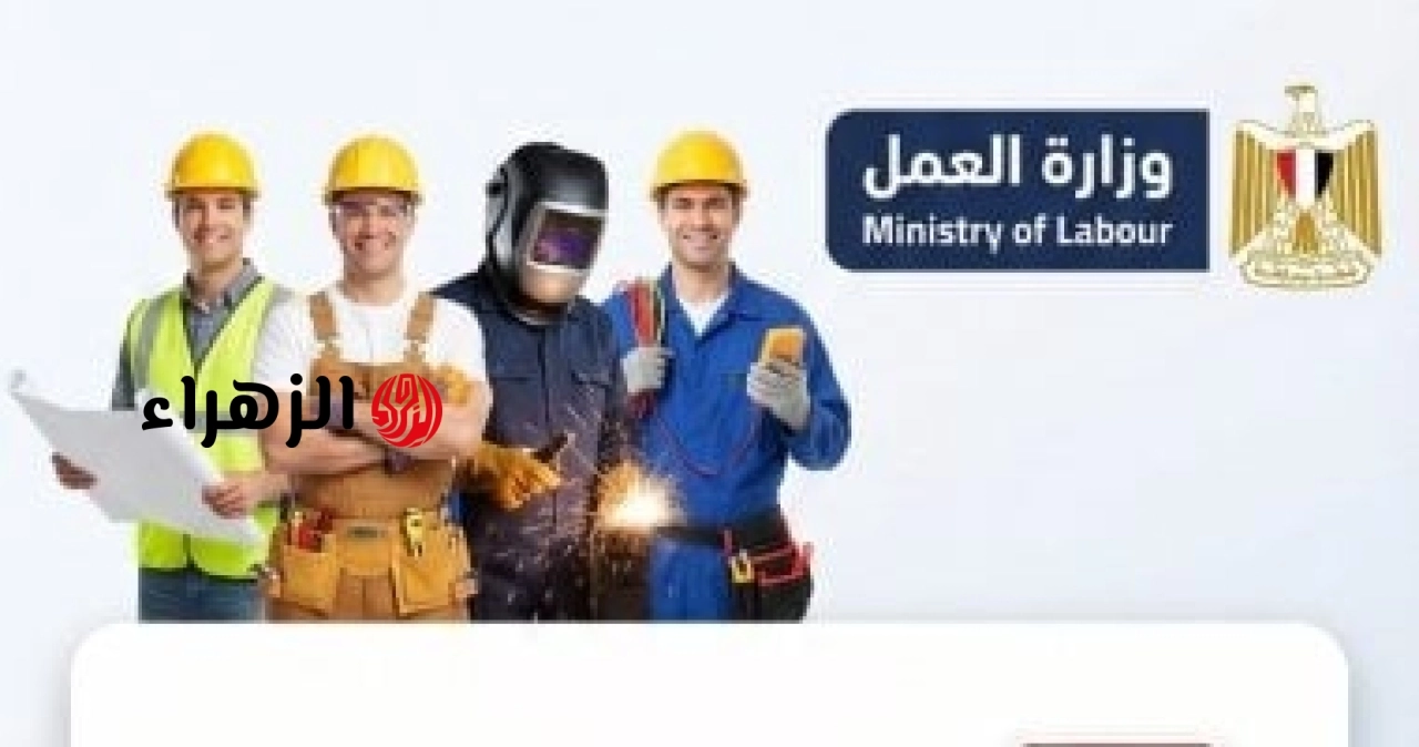 برواتب تصل لـ 25 ألف جنيه.. تفاصيل وظائف وزارة العمل بشركة صناعة الزجاج بالسويس وطريقة التقديم
