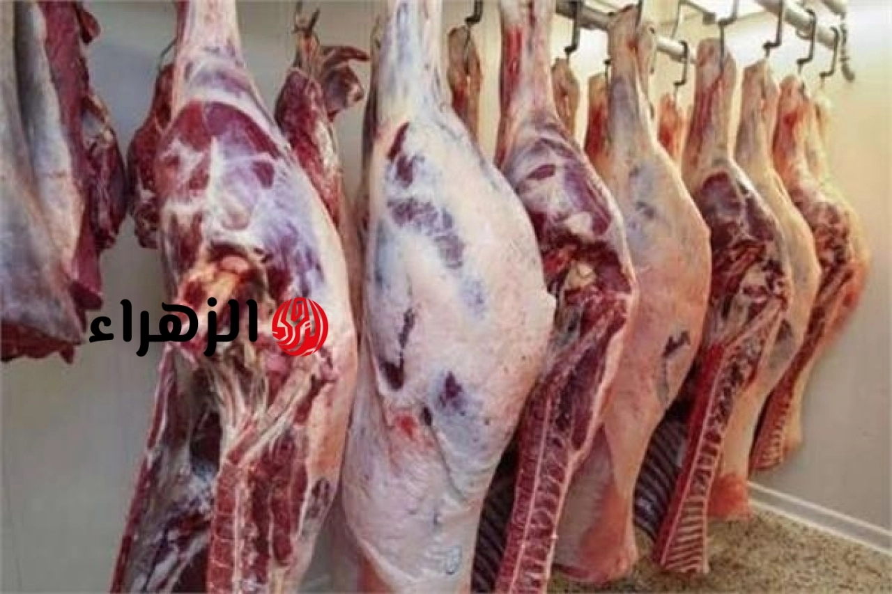 استعداداً لعيد الأضحى.. الزراعة تضخ كميات ضخمة من اللحوم والأضاحي بأسعار مخفضة