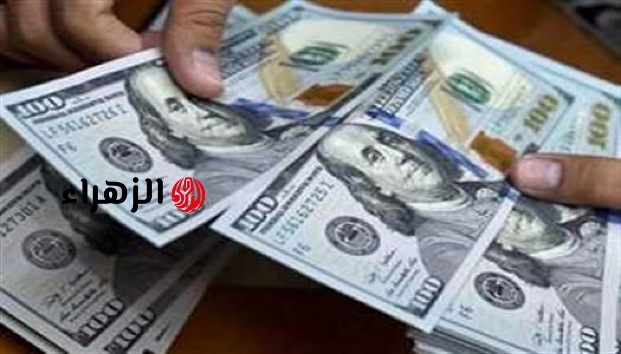 سعر الدولار اليوم في مصر تحديث شامل لأسعار الصرف في البنك الأهلي وبنك مصر