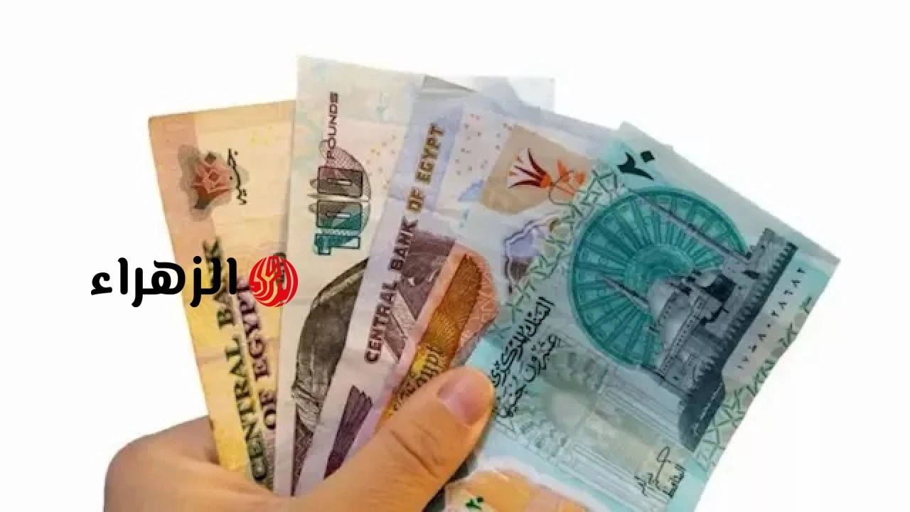 الوزراء يعلن حقيقة وقف إصدار العملات البلاستيكية فئة 10 و20 جنيهًا