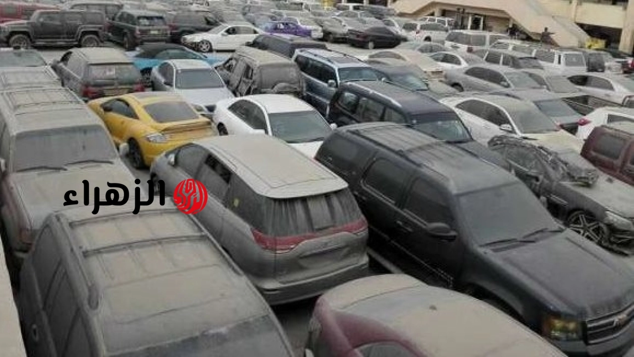مرسيدس وبي إم وبورش.. تفاصيل وشروط مزاد جمارك مطار القاهرة لبيع السيارات الملاكي