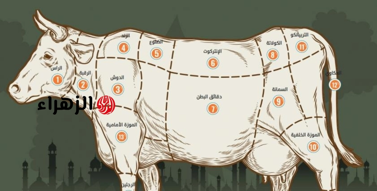 من الشوي للفرم.. أفضل قطعيات لحم العجل وكيفية تحضيرها بطعم المطاعم