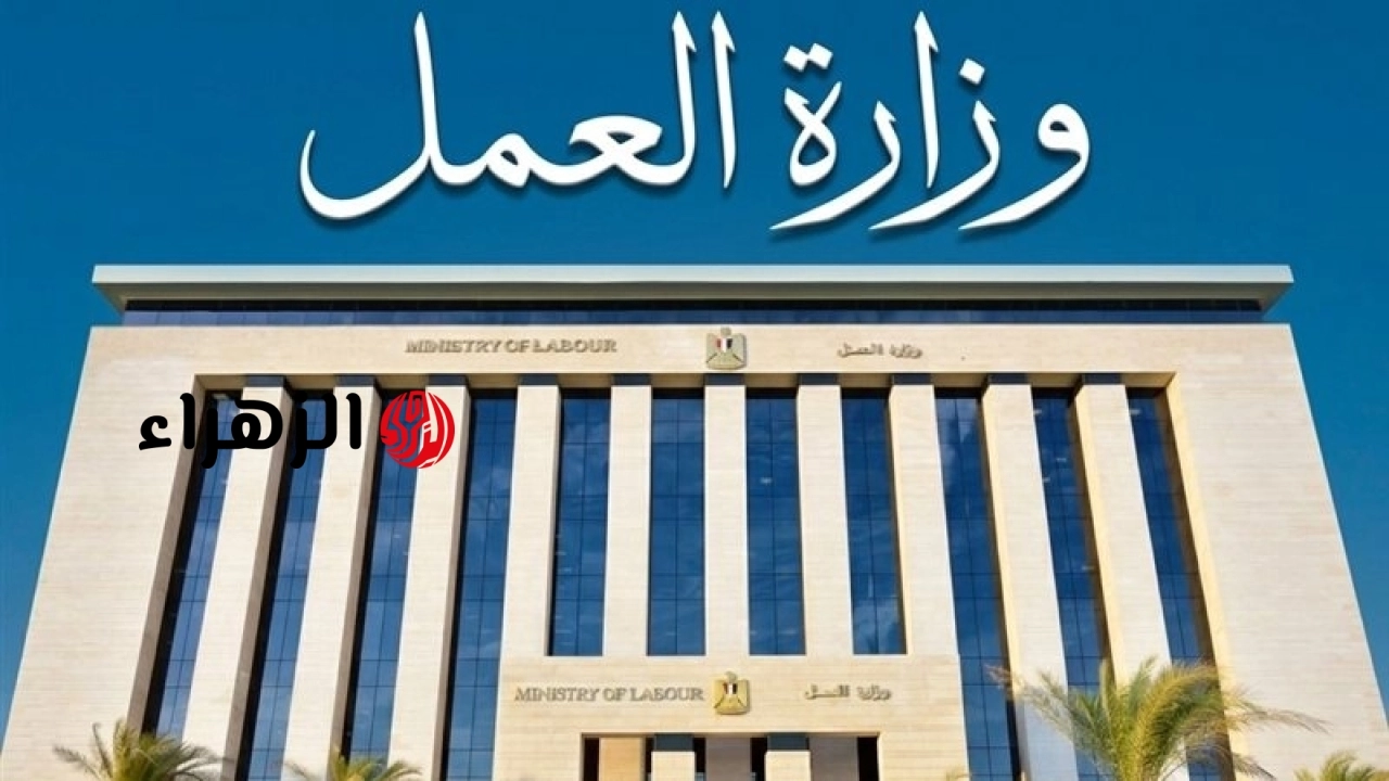 وزير العمل يعلن توفير 2554 فرصة عمل بـ 66 شركة خاصة بـ 16 محافظة والتقديم طوال شهر مايو
