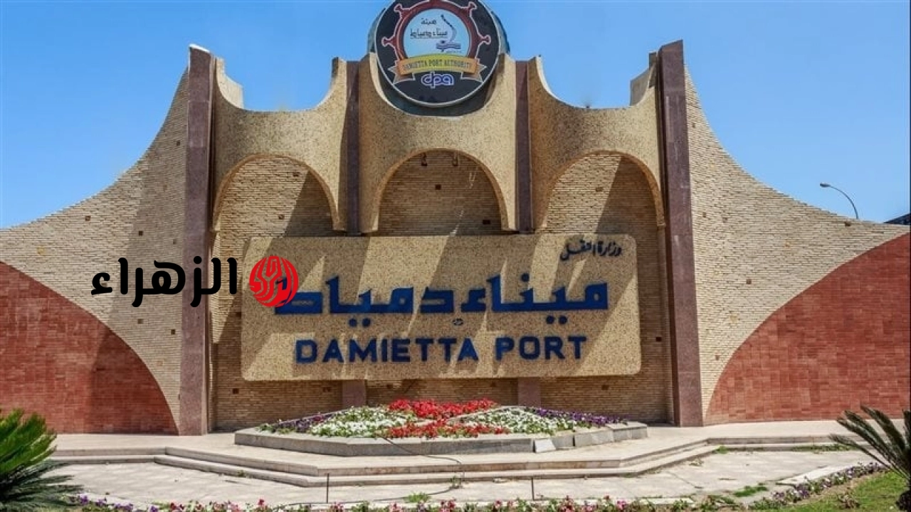 عاجل.. وزارة العمل تعلن عن 25 وظيفة خالية بميناء دمياط برواتب تصل إلى 25 ألف جنيه