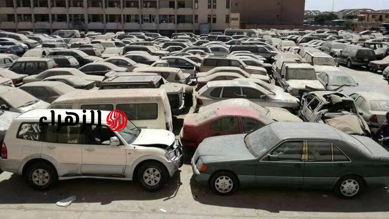 مرسيدس وبي إم وبورش.. تفاصيل وشروط مزاد جمارك مطار القاهرة لبيع السيارات الملاكي 6 725