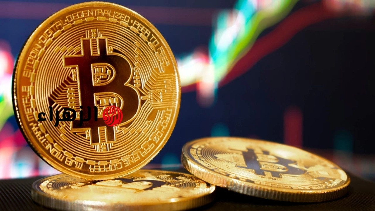 بيتكوين تتراجع تحت 81 ألف دولار وسط حذر في الأسواق