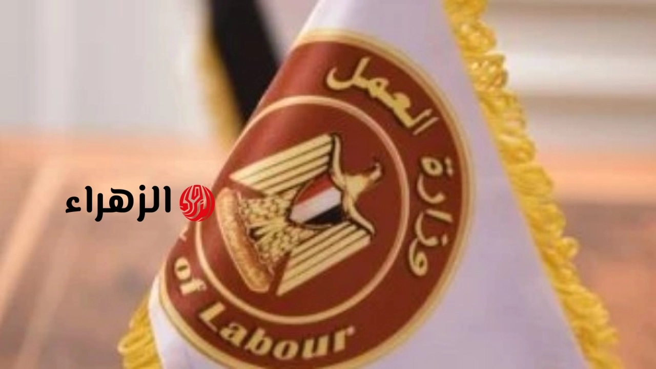 وزارة العمل تعلن توفير 500 فرصة عمل للشباب برواتب تصل لـ 8600 جنيه