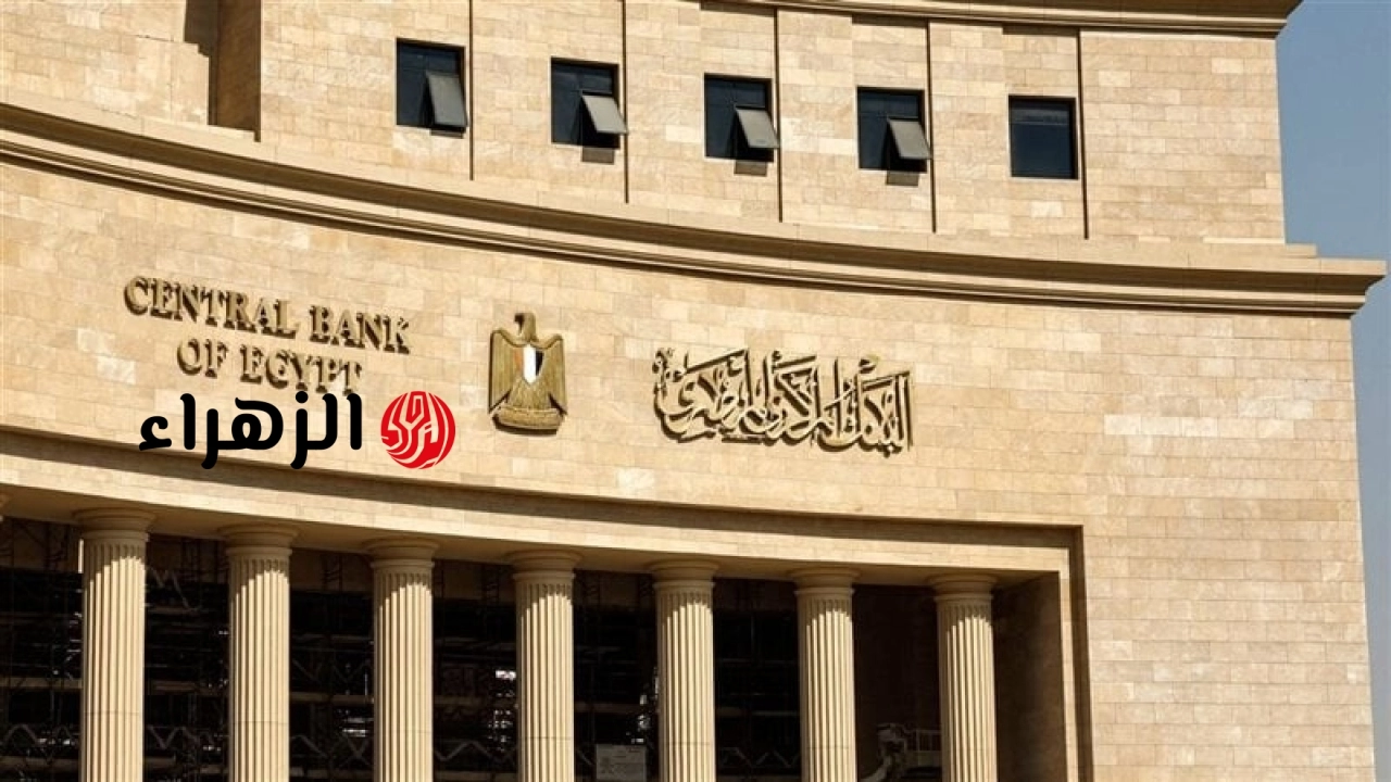 البنك المركزي يوضح بدائل الفروع في إجازة العيد.. منها إنستاباي وماكينات الصراف الآلي
