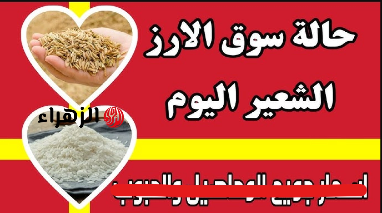 “بـورصة الأرز اليـوم” سعر الأرز الشعير الآن اليوم الأحد 3 مايو 2026 وهل سيستقر على هذا الحـد