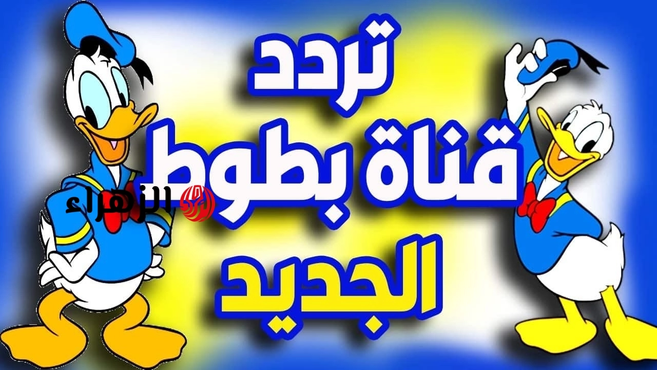 “كـرتون هيفرح ولادك” تردد قناة بطوط 2026 لمتابعة أفضل البرامج الكرتونية الرائعة وطريقة استقبالها على الرسيفر