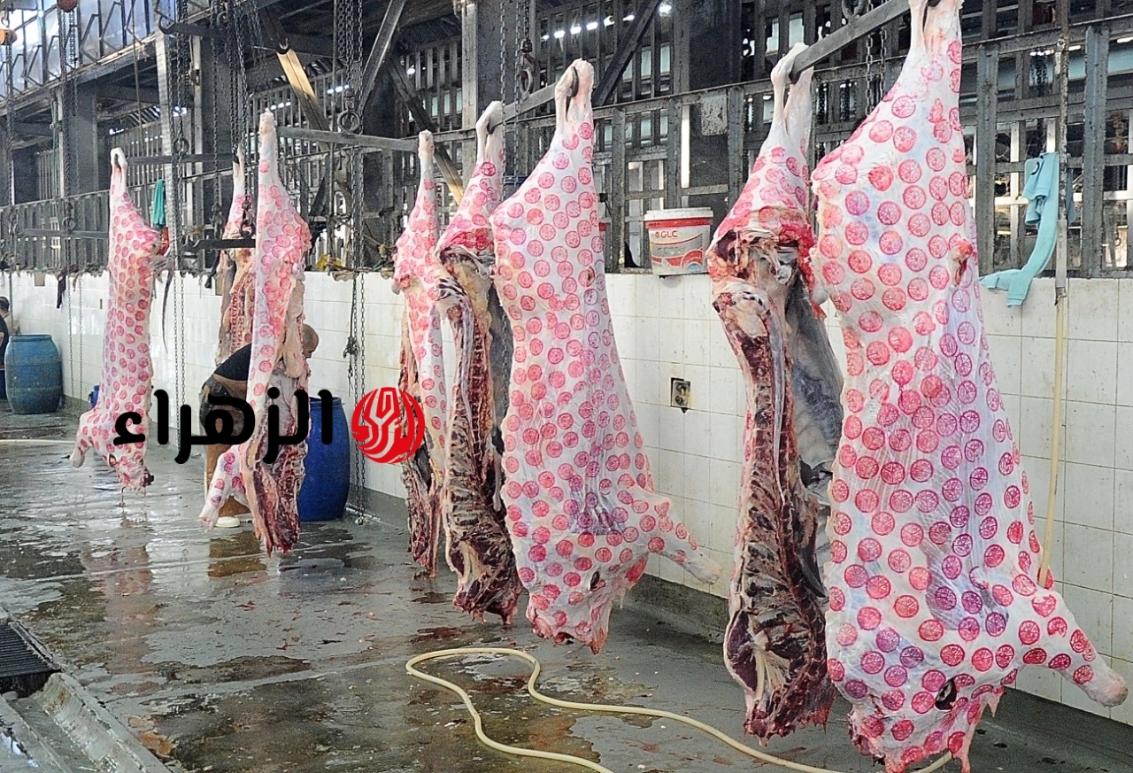 التنمية المحلية تفتح جميع المجازر بالمجان لذبح الأضاحي طوال العيد بإشراف طبي