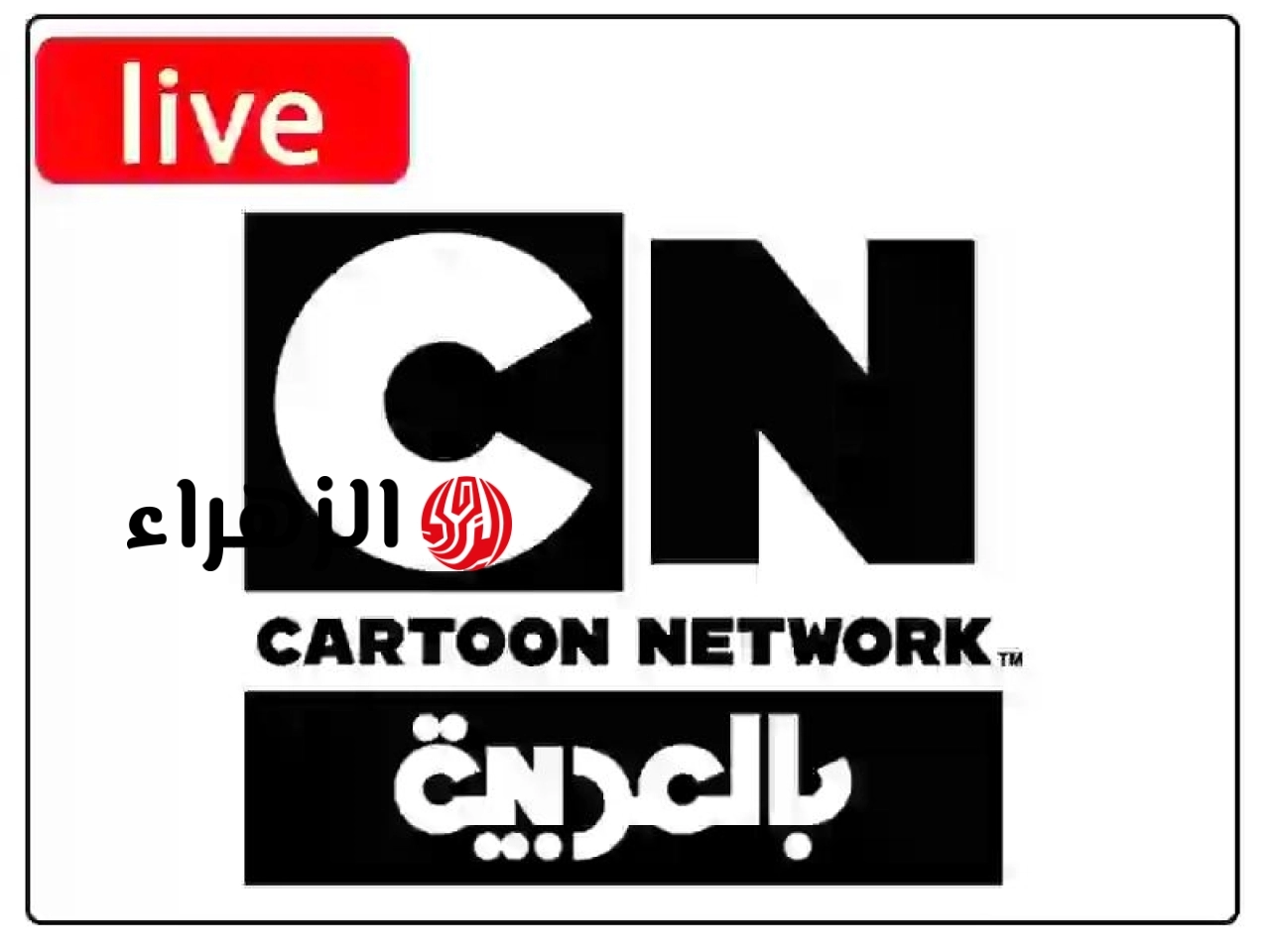 لعشاق الكرتون والإثارة.. استقبل الآن تردد قناة CN بالعربية 2026 الجديد واستمتع بأقوى أفلام الرسوم المتحركة بجودة فائقة طوال اليوم