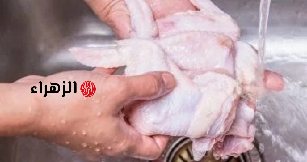 احذر غسل الدجاج قبل الطهي خبراء الصحة يكشفون السر وراء انتشار البكتيريا