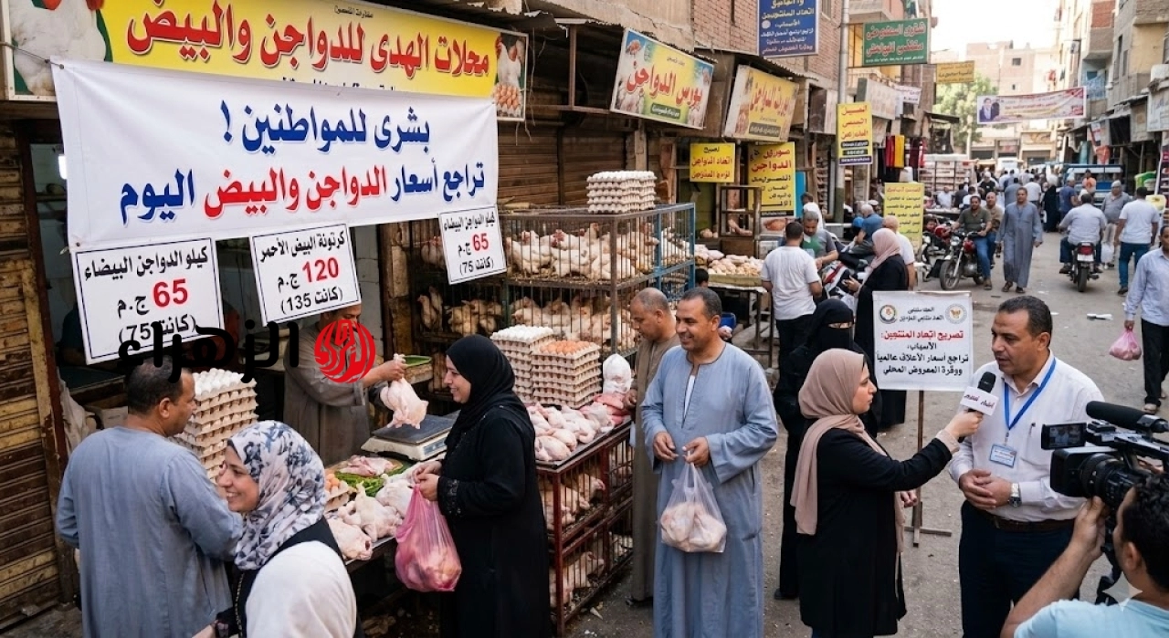 بورصة الدواجن اليوم.. تراجع أسعار الدواجن والبيض في الأسواق واتحاد المنتجين يكشف الأسباب