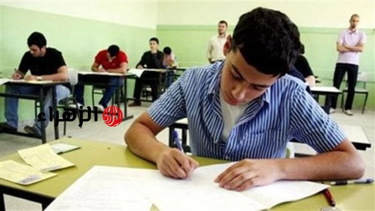الان رابط استخراج نتيجة الصف الرابع الابتدائي 2026 ترم ثاني من موقع بوابة التعليم الاساسي فور ظهورها