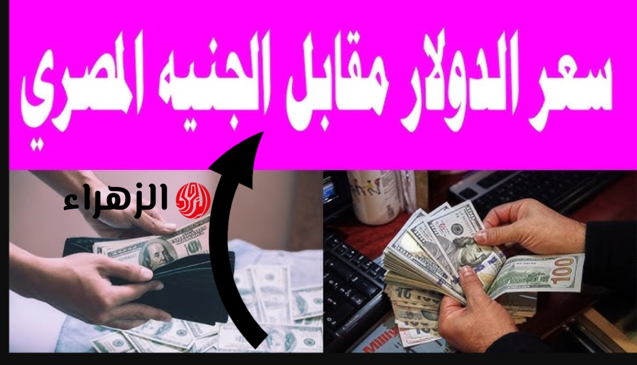 تحديث لحظـي الآن: سعر الدولار اليوم مقابل الجنيه المصري السبت 16 مايو 2026 وجميـع العملات العربية والأجنبـة.. اعرف التوقعات القادمة