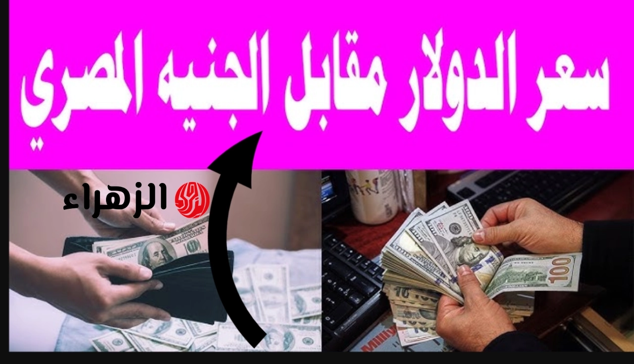 تـراجع ملحـوظ: تعـرف على سعر الدولار اليوم مقابل الجنيه المصري الخميس 21 مايو 2026 بجميـع البنـوك وهـل سيستقـر