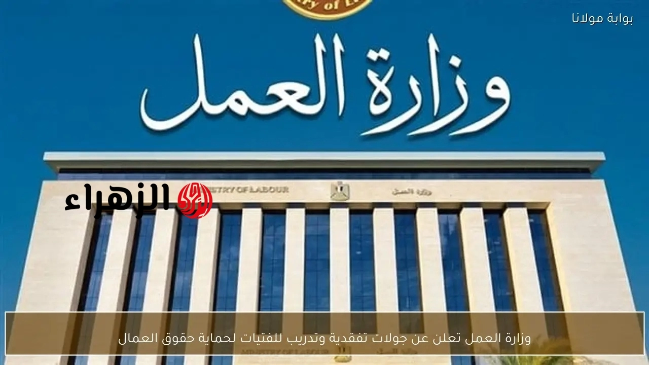 وزارة العمل تعلن عن وظائف خالية لحملة المؤهلات المتوسطة برواتب تصل إلى 13500 جنيه