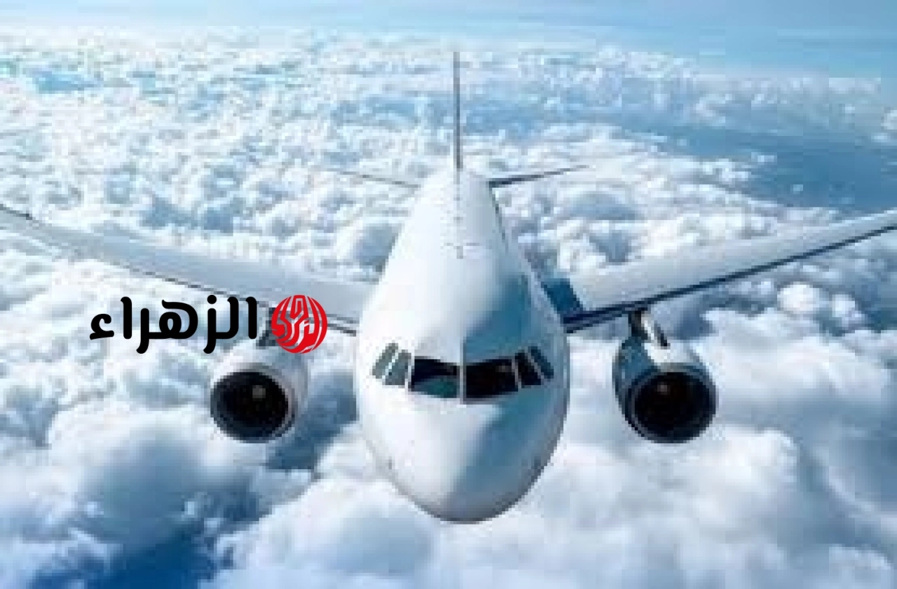 دول التي تفتح أبوابها للهجرة أمام المصريين في 2026 ومنح تصل لـ 100 ألف دولار