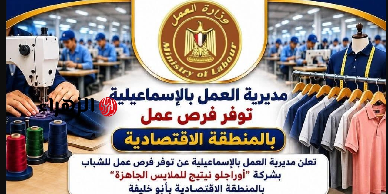 براتب يبدأ من 7000 جنيه.. تفاصيل 100 فرصة عمل بالمنطقة الاقتصادية في الإسماعيلية والشروط المطلوبة