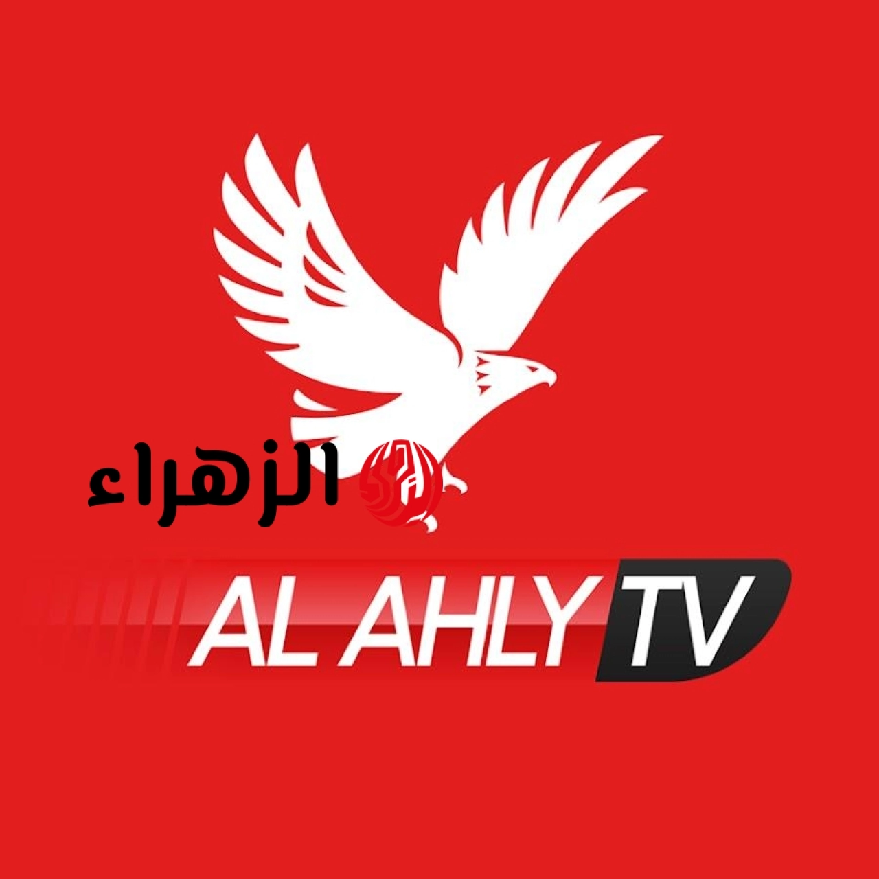 استقبل الآن أقوى تغطية رياضية لحظة بلحظة.. تردد قناة الأهلي الجديد 2026 بجودة HD لمتابعة المباريات والتحليلات الحصرية