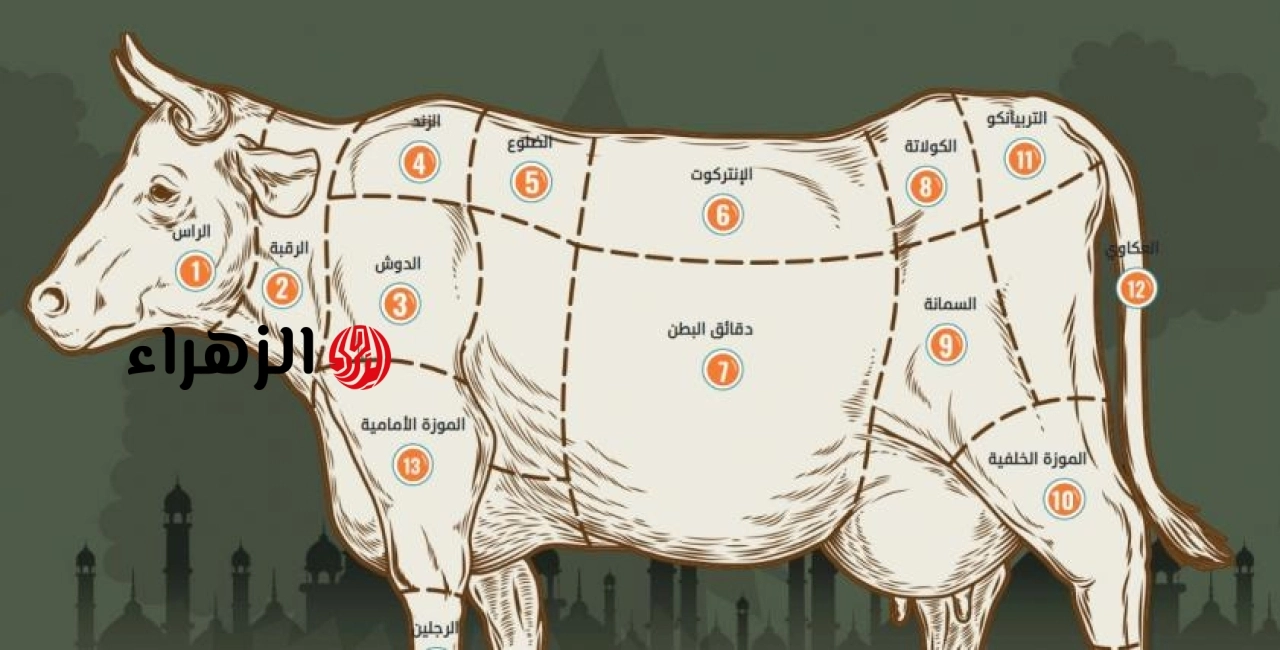 أسماء قطعيات اللحوم المختلفة وطرق طهيها