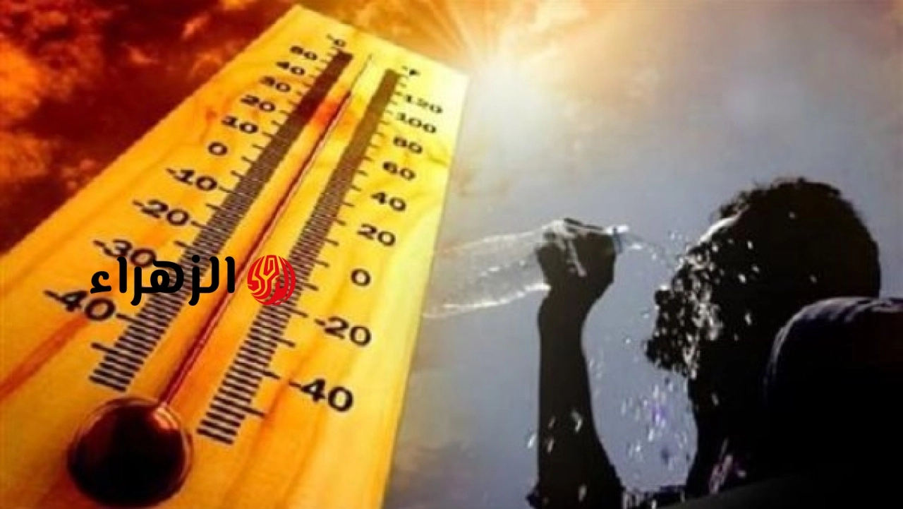 الأرصاد تعلن توقعات الطقس اليوم في القاهرة والدلتا مع احتمالية سقوط أمطار 23 مايو 2026