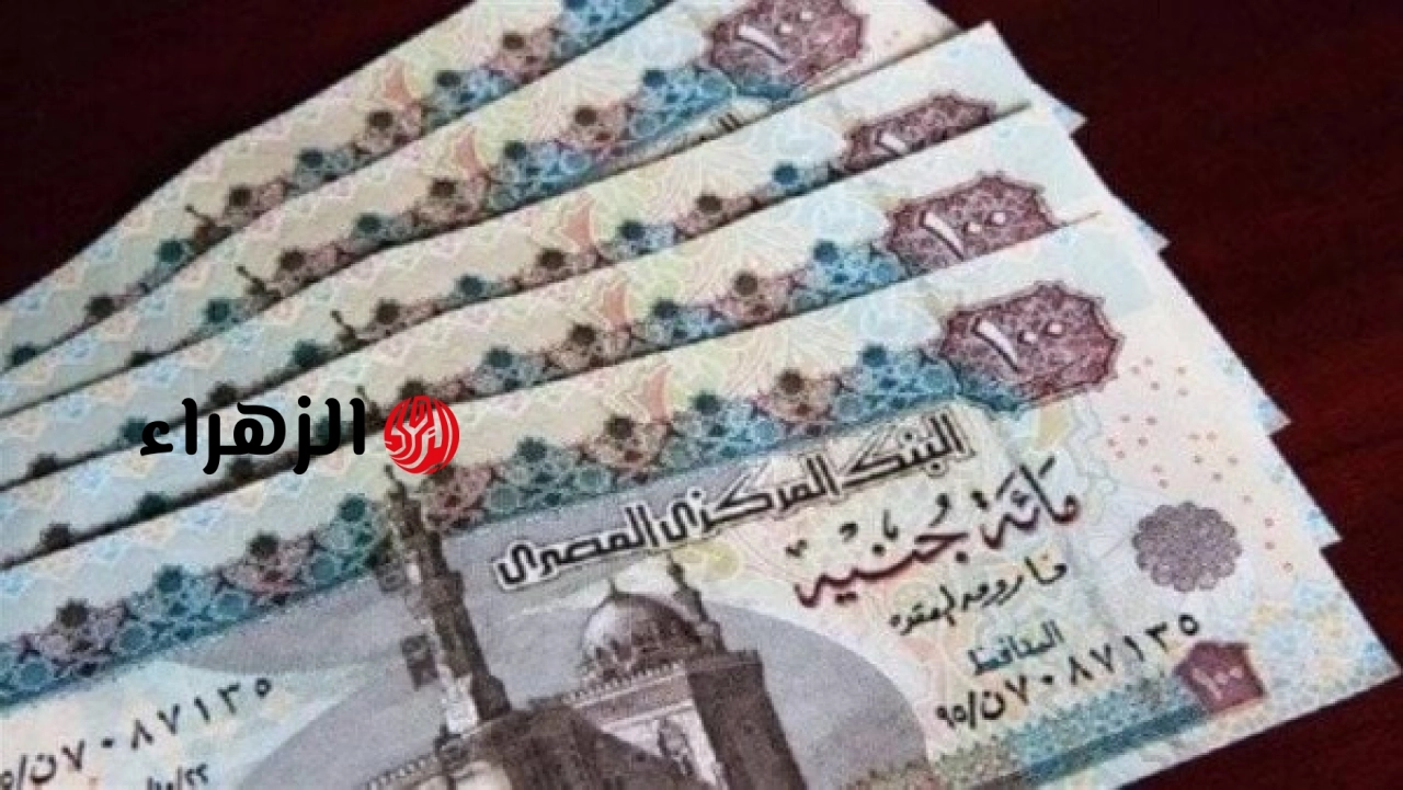 التأمينات تعلن جاهزيتها لصرف معاشات يونيو 2026 قبل حلول عيد الأضحى
