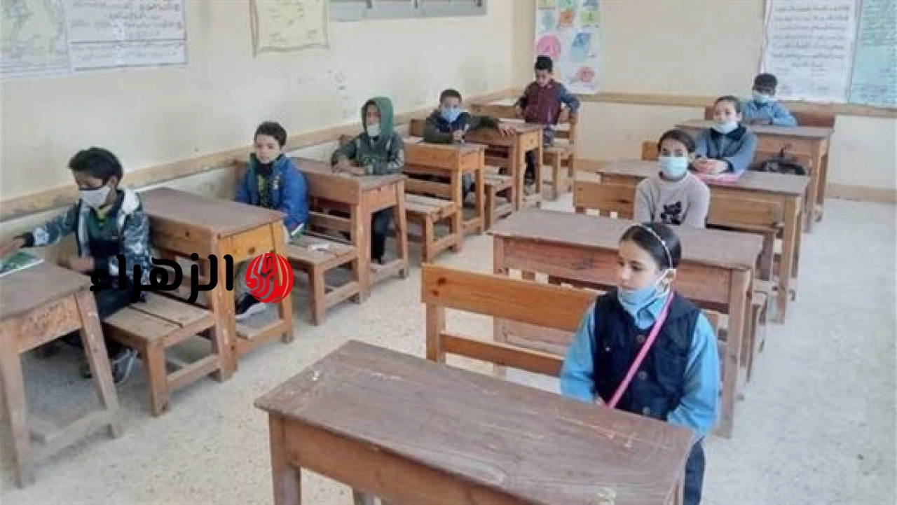 التعليم يعلن نتيجة صفوف المرحلة الابتدائية ويشرح دلالات الألوان للنظام الجديد