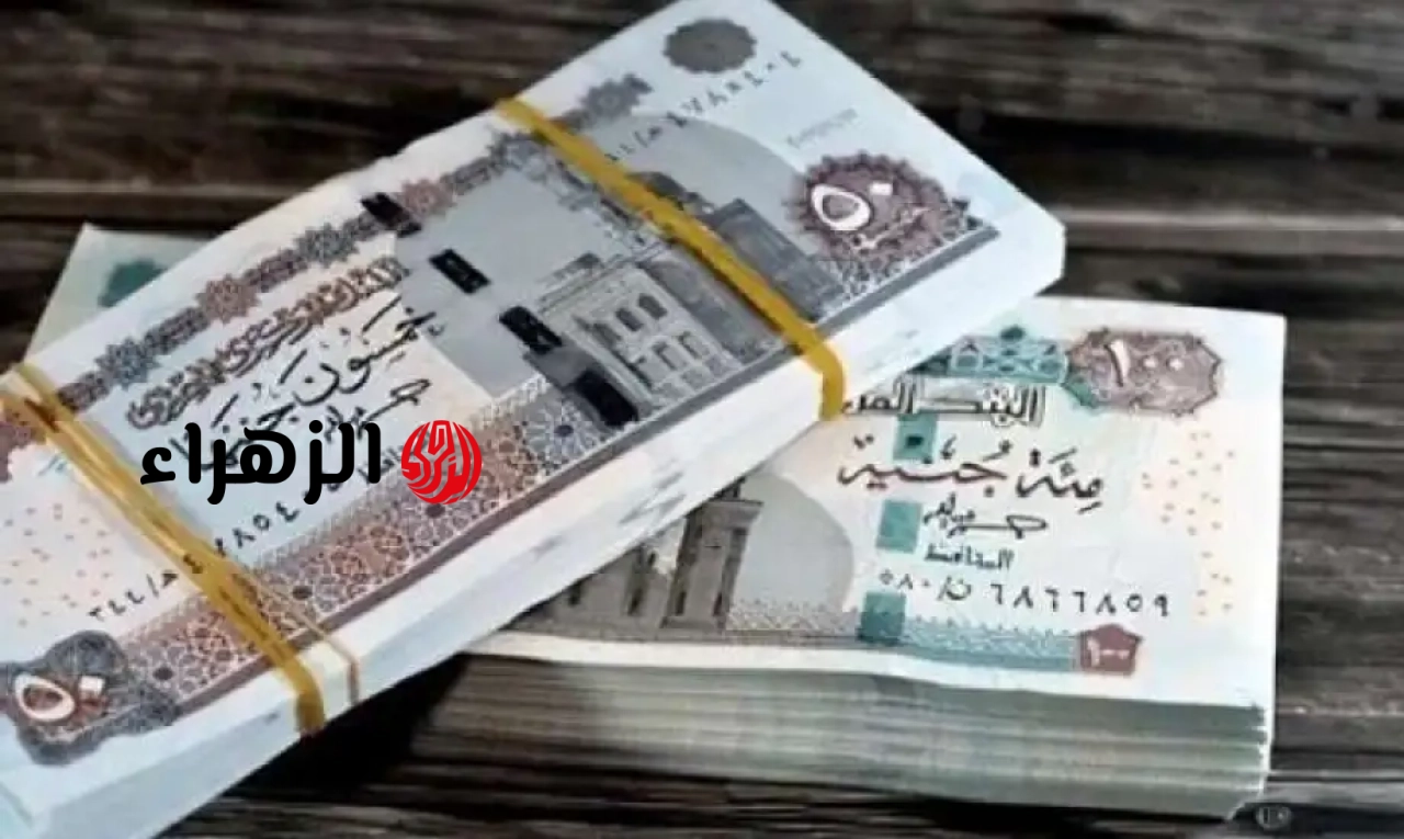 حالات الجمع بين معاشين بنص قانون التأمينات الاجتماعية.. هل أنت منهم؟