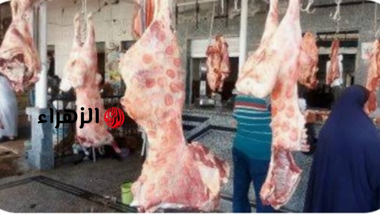 الحكومة تعلن استعداداتها لعيد الأضحى وتؤكد توفر السلع الأساسية بالأسواق