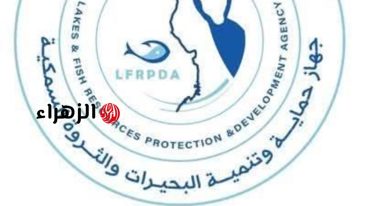 الحكومة تعلن تحقيق إنتاج مليون زريعة سمكية بفرع دمياط دعمًا لتنمية قطاع الثروة السمكية بالغربية