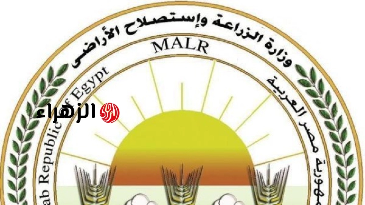 الزراعة تجهز 497 مجزرا وتعلن فتح الحدائق العامة للجمهور قبل عيد الأضحى