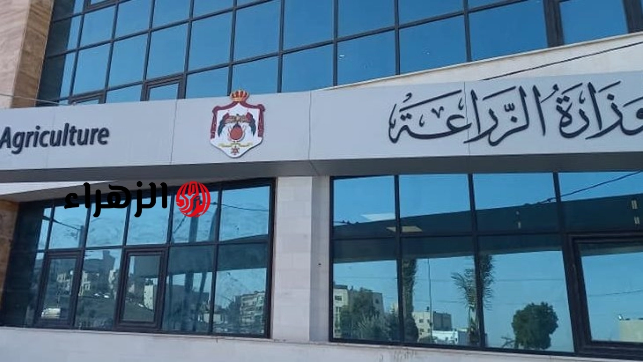 الزراعة تعلن توفير 16 ألف رأس ماشية للأضاحي واللحوم بسعر 280 جنيهًا للكيلو