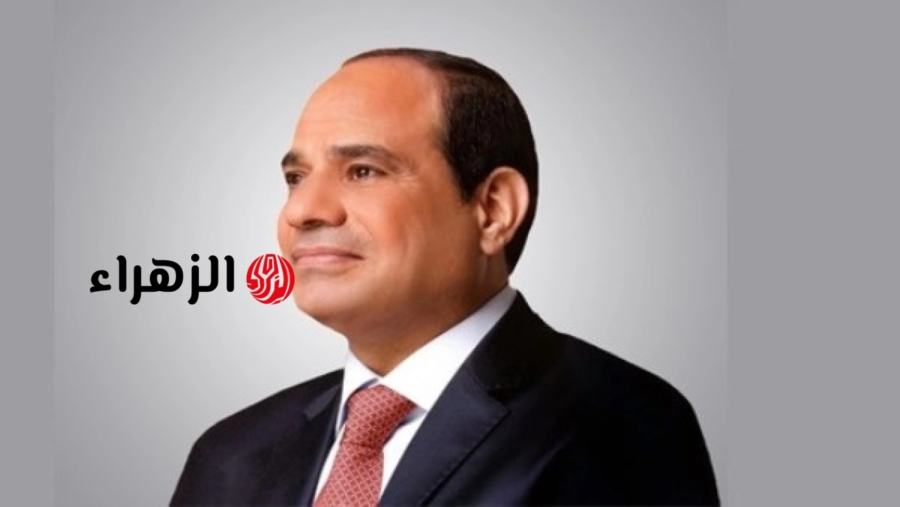 السيسي يؤكد استمرار دعم مصر لمسيرة التنمية والبناء في الدول الإفريقية