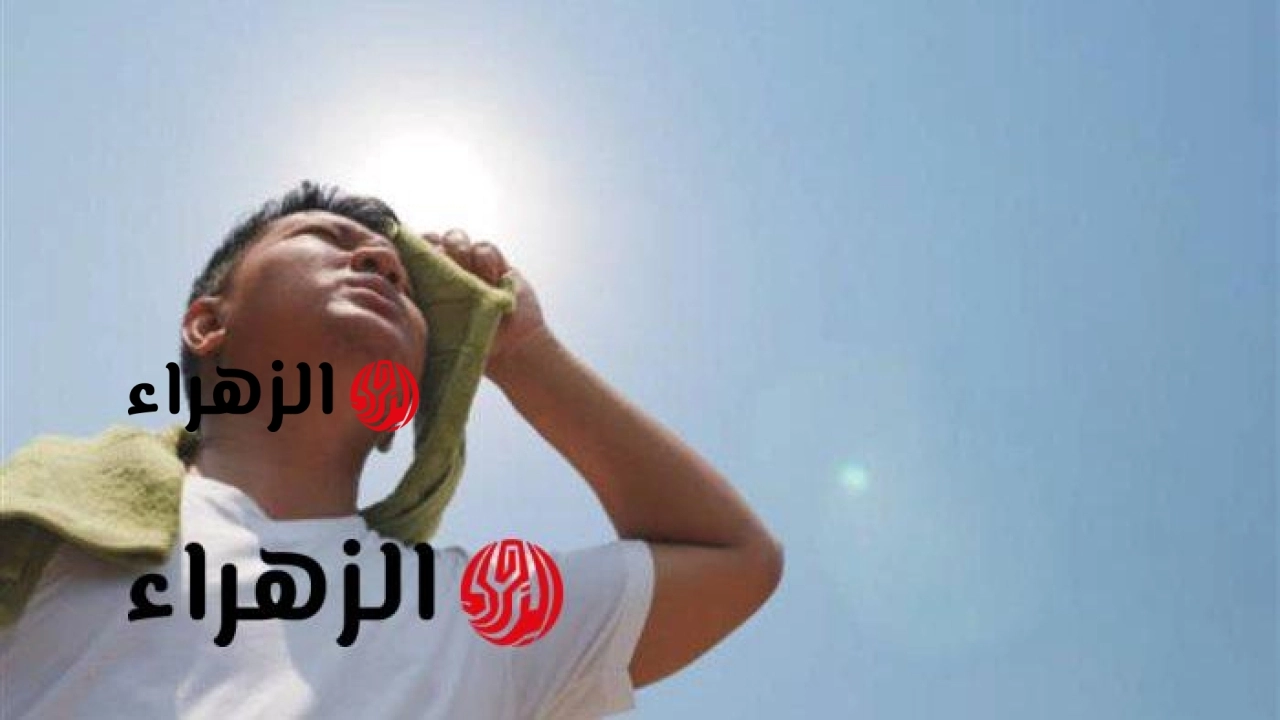 حالة الطقس غدًا السبت ودرجات الحرارة في القاهرة والمحافظات