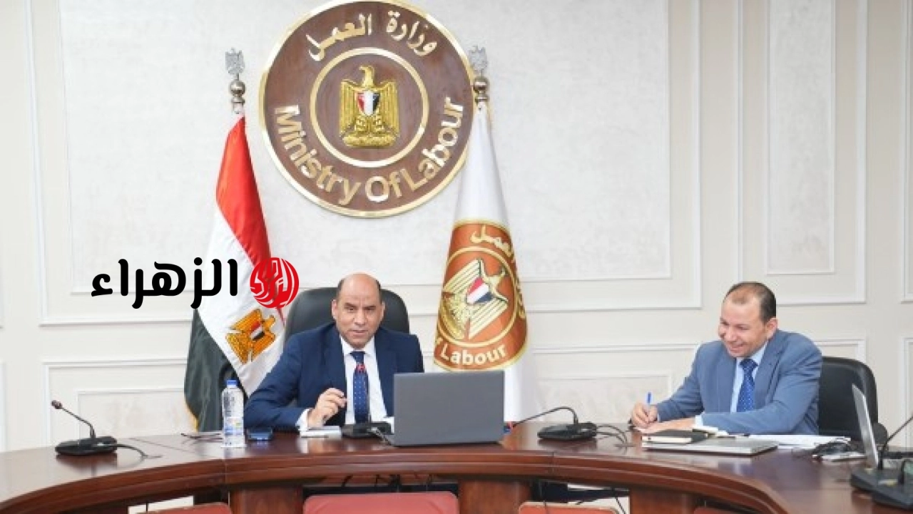 العمل يعلن الانتهاء من فحص أوراق أربع لجان عمالية تمهيدًا لاعتمادها