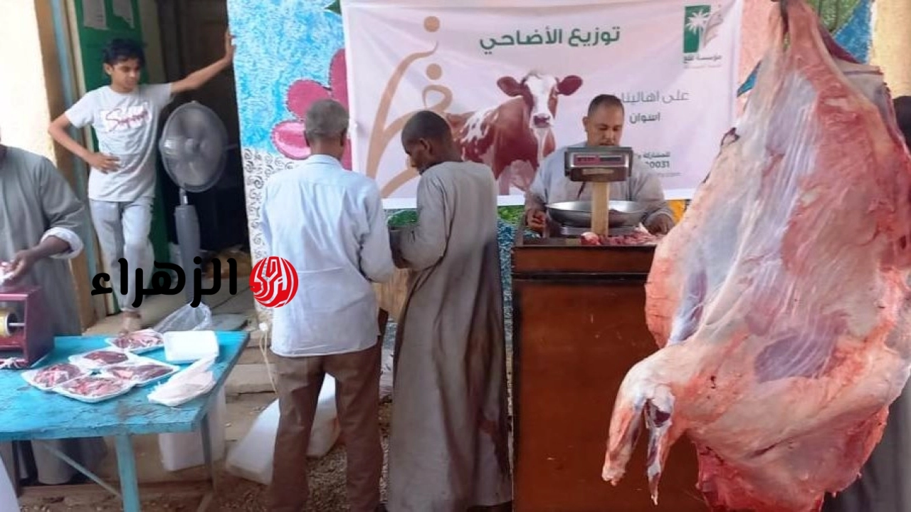 القومي للبحوث يكشف مخاطر الذبح خارج المجازر الرسمية على الصحة العامة والبيئة