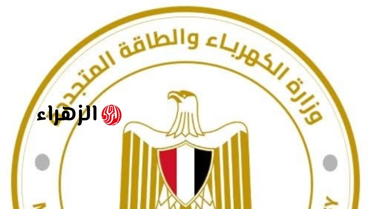 الكهرباء تعلن فحص 28 ألف شكوى عبر منظومة الشكاوى الموحدة بمجلس الوزراء