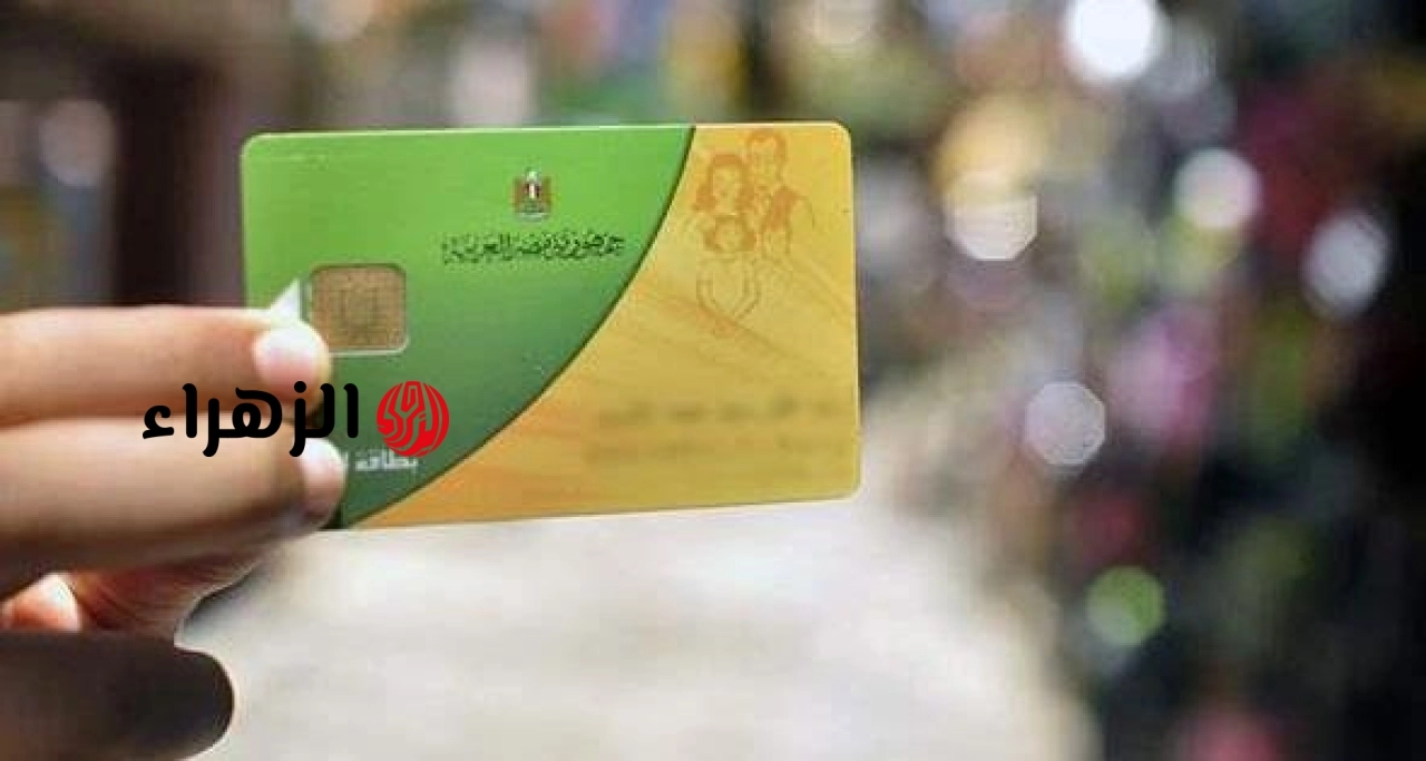 وقف صرف الخبز والسلع.. التموين تكشف أسباب إيقاف البطاقات وإجراءات إعادة التفعيل