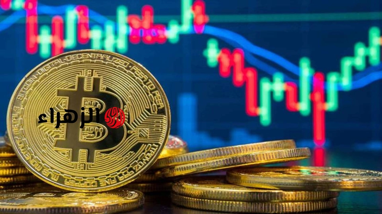 لماذا قفزت بيتكوين فوق 80 ألف دولار؟.. الأسباب الكاملة