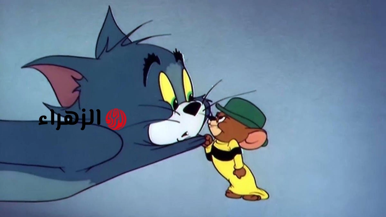 “الفار جنن القط”.. اظبط تردد قناة توم وجيري 2026 على نايل سات وعرب سات لمتابعة اجمل افلام الكرتون طول اليوم
