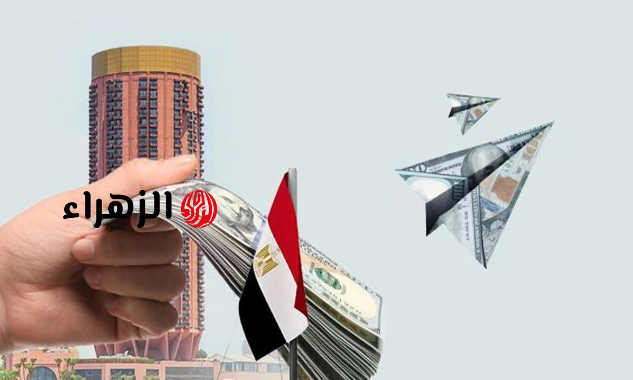 ارتفاع تحويلات المصريين بالخارج يؤكد استقرار سوق الصرف وقوة الاقتصاد