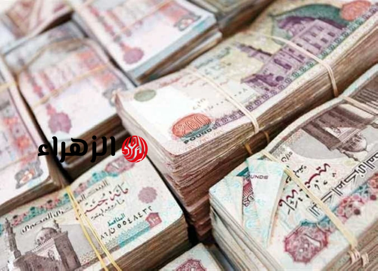 معاش شهري لربات البيوت 2026.. شروط التقديم والمبلغ المستحق