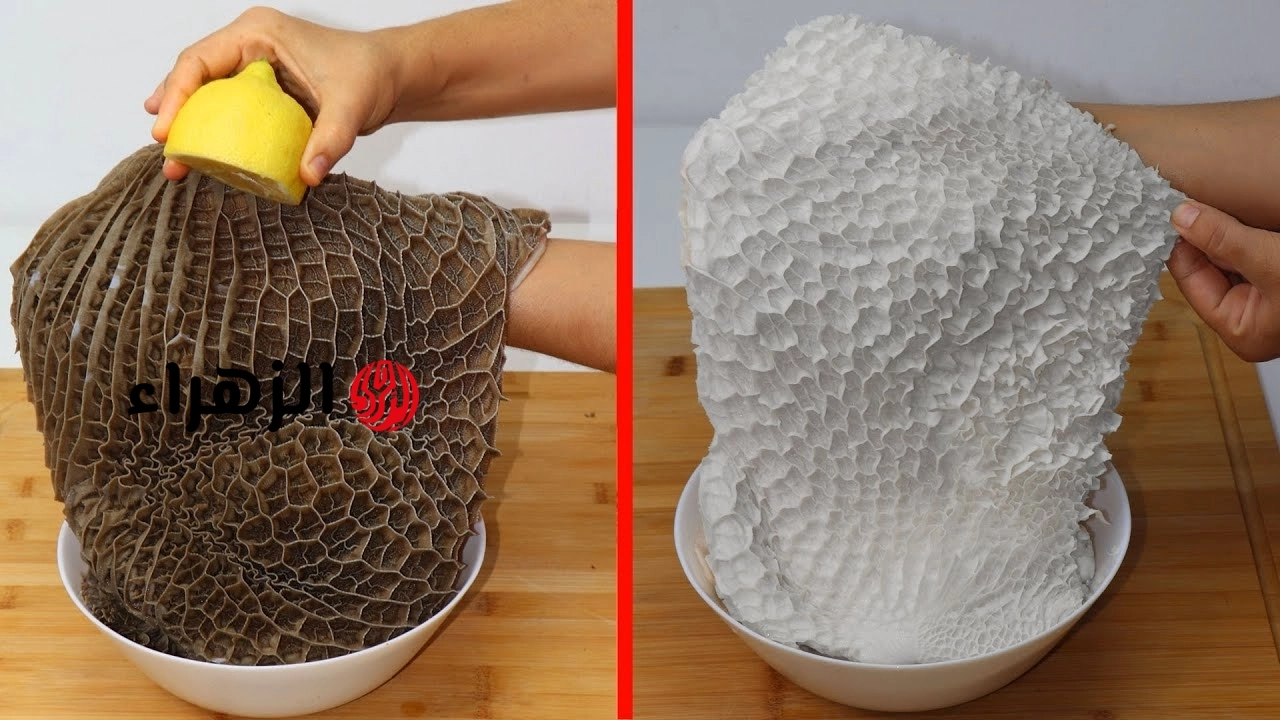 بدون مجهود.. 3 طرق لتنظيف الكرشة في المنزل