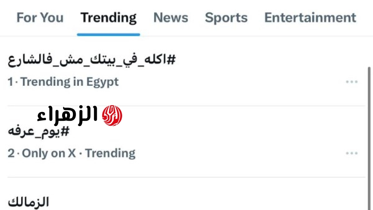 حملة أكله في بيتك مش في الشارع تتصدر مواقع التواصل وتحذيرات من إلقاء الطعام للحيوانات في الشوارع
