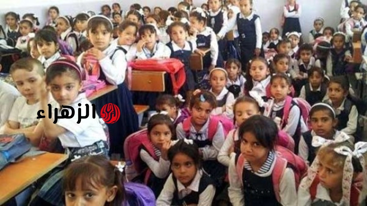 خبير تربوي يوضح عوامل نفسية تشجع على مراجعة حجم المناهج المدرسية