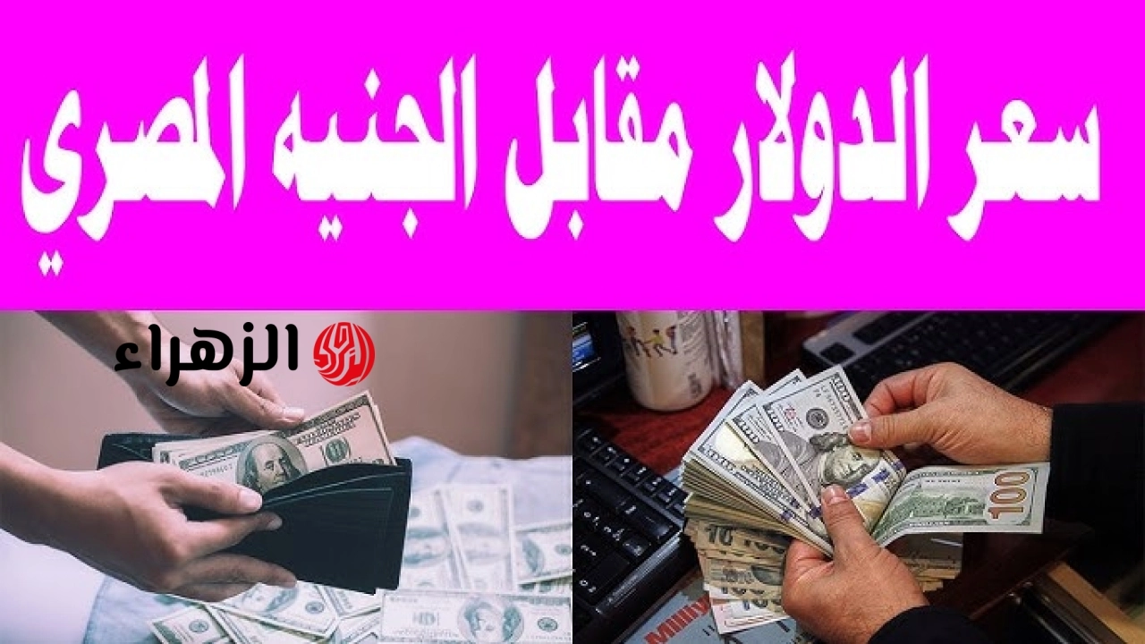 شكد هسه سعر الدولار؟ .. أسعار صرف الدولار اليوم في العراق الجمعة 15 مايو 2026