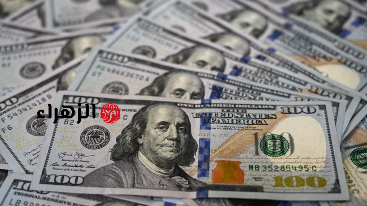 “استقرار ملحوظ”.. سعر الدولار مقابل الجنيه المصري اليوم الثلاثاء 19/5/2026 في كل البنوك