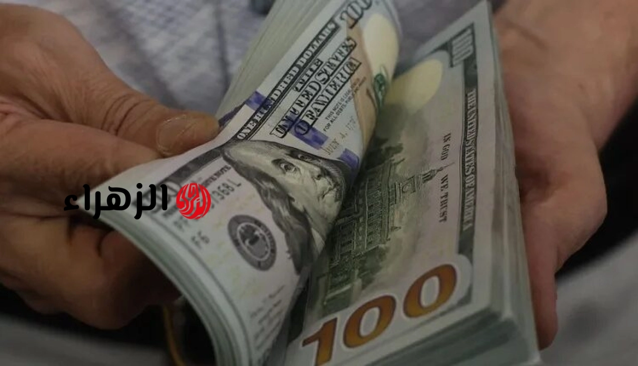 الدولار شكد اليوم؟ .. سعر الدولار اليوم في العراق الإثنين 11 مايو 2026 بعد آخر تحديث